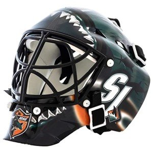 NHL Dallas Stars Team Logo Mini Hockey Goalie Mask with Case - Collectible Goalie Mask with Official NHL Logos and Colors , 7.5"x7.5"