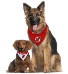 NHL NEW JERSEY DEVILS BANDANA for DOGS & CATS, Small/Medium. - Cute & Stylish Bandana! The Perfect HOCKEY FAN Scarf Bandana, great for Birthdays or any Party!