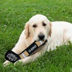 Pets First NHL Los Angeles Kings Stick Toy for Dogs & Cats. Play Hockey with Your Pet with This Licensed Dog Tough Toy Reward!