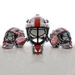 NHL Detroit Red Wings Team Logo Mini Hockey Goalie Mask with Case - Collectible Goalie Mask with Official NHL Logos and Colors
