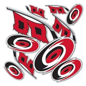 Desert Cactus Carolina Hurricanes Team NHL National Hockey League Sticker Vinyl Decal Laptop Water Bottle Car Scrapbook (Type 1-1)