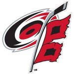 Desert Cactus Carolina Hurricanes Sticker NHL Team National Hockey League Vinyl Decal Laptop Water Bottle Car Scrapbook (4 inch Sticker)