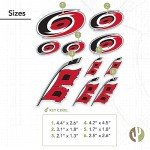 Desert Cactus Carolina Hurricanes Team NHL National Hockey League Sticker Vinyl Decal Laptop Water Bottle Car Scrapbook (Type 1-1)