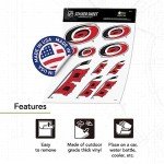 Desert Cactus Carolina Hurricanes Team NHL National Hockey League Sticker Vinyl Decal Laptop Water Bottle Car Scrapbook (Type 1-1)