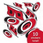 Desert Cactus Carolina Hurricanes Team NHL National Hockey League Sticker Vinyl Decal Laptop Water Bottle Car Scrapbook (Type 1-1)