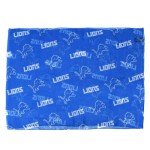 Littlearth Detroit Lions NFL Sheer Infinity Scarf