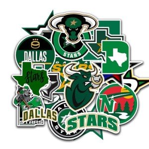 25 PCS Dallas American Stars Hockey Stickers for Water Bottle, Laptop, Bicycle, Computer, Motorcycle, Travel Case, Car Decal Decoration Sticker