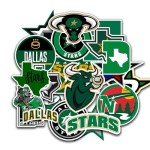 25 PCS Dallas American Stars Hockey Stickers for Water Bottle, Laptop, Bicycle, Computer, Motorcycle, Travel Case, Car Decal Decoration Sticker