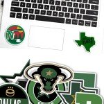 25 PCS Dallas American Stars Hockey Stickers for Water Bottle, Laptop, Bicycle, Computer, Motorcycle, Travel Case, Car Decal Decoration Sticker