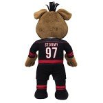 Bleacher Creatures Carolina Hurricanes Stormy 10" Plush Figure- A Mascot for Play or Display