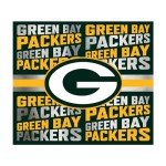 Rico Industries NFL Football Green Bay Packers 22oz Stainless Steel Tumbler with Lid - Great For Coffee, Tea, Water or Cocktails