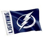 Desert Cactus Tampa Bay Lightning Flag NHL 100% Polyester Indoor Outdoor 3x5 feet National Hockey League Team Flags (Name Flag)