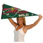 Minnesota Wild Pennant