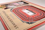 YouTheFan NHL Chicago Blackhawks 3D StadiumViews Picture Frame Team Color, 12" x 8"