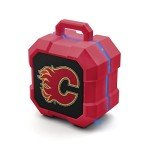 NHL Calgary Flames ShockBox LED Wireless Bluetooth Speaker, Team Color