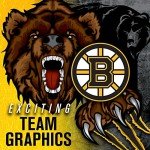 Franklin Sports unisex adult Franklin Sports Boston Bruins NHL Team Logo Mini Hockey Goalie Mask with Case Collectible Goalie M, Multicoloured, One Size US