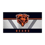 Rico Industries NFL Football Chicago Bears 20oz Stainless Steel Tumbler with Lid - Great For Coffee, Tea, Water or Cocktails