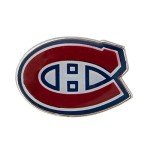 Desert Cactus Montreal Canadiens Lapel Pin NHL Team Logo Enamel Made of Metal (Lapel Pin)