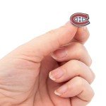Desert Cactus Montreal Canadiens Lapel Pin NHL Team Logo Enamel Made of Metal (Lapel Pin)
