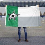 WinCraft Dallas Stars State of Texas 3x5 Feet Banner Flag
