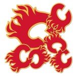 Desert Cactus Calgary Flames Team NHL National Hockey League Sticker Vinyl Decal Laptop Water Bottle Car Scrapbook (Type 3 - Main Logo)