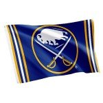 Desert Cactus Buffalo Sabres Flag NHL 100% Polyester Indoor Outdoor 3x5 feet National Hockey League Team Flags (Flag A)
