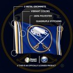 Desert Cactus Buffalo Sabres Flag NHL 100% Polyester Indoor Outdoor 3x5 feet National Hockey League Team Flags (Flag A)