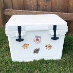 Desert Cactus Los Angeles Kings LA Team NHL National Hockey League Sticker Vinyl Decal Laptop Water Bottle Car Scrapbook (Vintage Sheet)