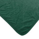 NORTHWEST NHL Officially Licensed Minnesota Wild 46" x 60" Microfiber Throw Blanket