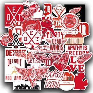 29 PCS Set of Detroit Vinyl Red Wings Stickers Pack Detroit Decal Red Wings 2-2.5 inches
