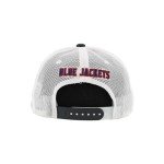 ZHATS Standard NHL Officially Licensed Adjustable Snapback Hat Big Rig Icon Team Color, One Size