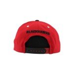 ZHATS Standard NHL Officially Licensed Adjustable Snapback Hat Flat Bill Z11 Icon Two Color, One Size