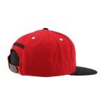 ZHATS Standard NHL Officially Licensed Adjustable Snapback Hat Flat Bill Z11 Icon Two Color, One Size