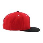 ZHATS Standard NHL Officially Licensed Adjustable Snapback Hat Flat Bill Z11 Icon Two Color, One Size