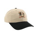 ZHATS Standard NHL Officially Licensed Adjustable Hat Scholarship Icon Stone, One Size