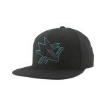 ZHATS Standard NHL Officially Licensed Adjustable Snapback Hat Flat Bill Z11 Black Element, One Size