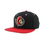 ZHATS Standard NHL Officially Licensed Adjustable Snapback Hat Flat Bill Z11 Icon Two Color, One Size