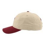 ZHATS Standard NHL Officially Licensed Adjustable Hat Scholarship Icon Stone, One Size