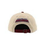 ZHATS Standard NHL Officially Licensed Adjustable Hat Scholarship Icon Stone, One Size