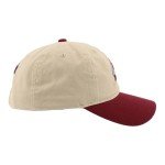 ZHATS Standard NHL Officially Licensed Adjustable Hat Scholarship Icon Stone, One Size