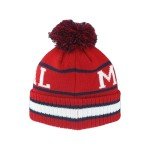 ZHATS Standard NHL Officially Licensed Beanie Pom Freestyle, Team Color, One Size
