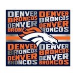 Rico Industries NFL Football Denver Broncos 22oz Stainless Steel Tumbler with Lid - Great For Coffee, Tea, Water or Cocktails
