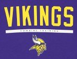 New Era NFL Men's Safety Fleece Pullover Hoodie, Minnesota Vikings X-Large