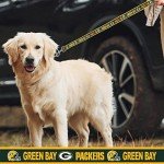 NFL PET Collar Green Bay Packers Dog Collar, Medium Football Team Collar for Dogs & Cats. A Shiny & Colorful Cat Collar & Dog Collar Licensed by The NFL