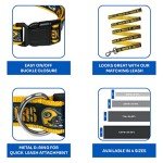 NFL PET Collar Green Bay Packers Dog Collar, Medium Football Team Collar for Dogs & Cats. A Shiny & Colorful Cat Collar & Dog Collar Licensed by The NFL