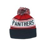 ZHATS Standard NHL Officially Licensed Beanie Pom Finish Line, Team Color, One Size