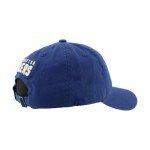 ZHATS Standard NHL Officially Licensed Adjustable Hat Scholarship Icon Team Color, One Size
