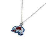 Aminco NHL Colorado Avalanche Team Logo Pendant Necklace, 4