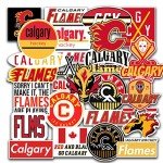 26 PCS Set of Calgary Vinyl Flames Stickers Pack Calgary Decal Flames 2-2.5 inches