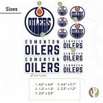 Desert Cactus Edmonton Oilers Sticker NHL Team National Hockey League Vinyl Decal Laptop Water Bottle Car Scrapbook (Type 1-1)